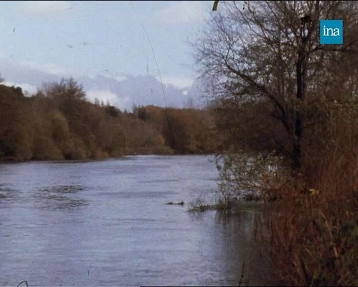 LES SECRETS DU COGNAC 🍷 Cette eau-de-vie de la région de Cognac et des Charentes est obtenue par distillation d'un jus de raisins blanc légèrement fermenté et peu alcoolisé. Tout un processus ancestral de sélection, de mélanges de crus et de vieillissement fait la réputation de ce nectar dans le monde entier. | INA