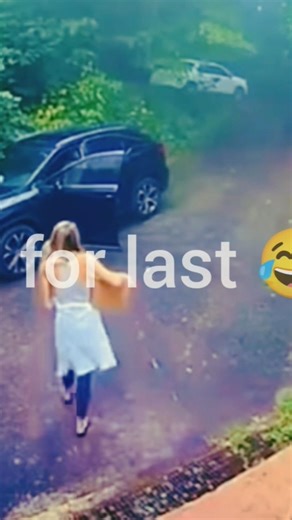 bear 🐻 attack #trending #funny #viral #bear