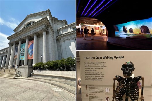 Smithsonian exhibit monkeys around with the scientific evidence on human origins