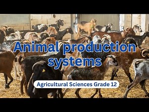 Agricultural Sciences Grade 12 | Animal Production Systems Explained! 🐑🐖🐓