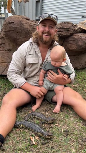 Bob and Wilma our Shingleback Lizards might be pregnant! #wildlife #animals #wildlifeeducation #zookeeper #australia #reptile #lizard #shingleback #skink #bluetongue #bluey #baby #pregnant #wild #kids | Wildlife Unleashed