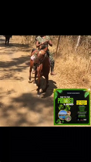 25th Feb let's go horse ride