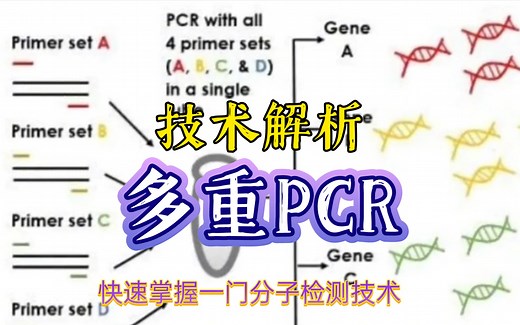 多重PCR技术解析