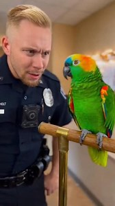 🦜 “Parrot got attitude! Even the cop couldn’t handle it 😂🚓 | Parrot Patrol