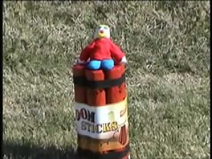 The Adventures of Mr. Bill