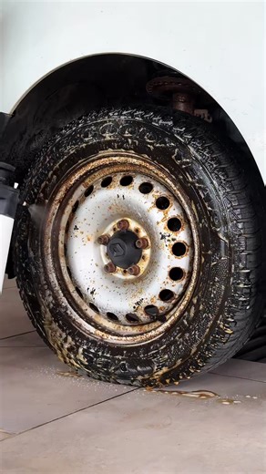 Ultimate Guide to Car Washing Techniques