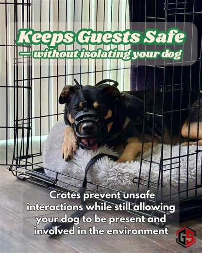 Benefits of Crate Training Your Dog