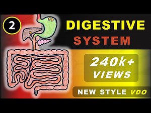 Life Processes Class 10 : Topic 2 - DIGESTIVE SYSTEM in Humans - NEW STYLE VIDEO | Chapter 5 Science