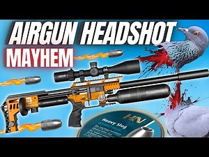 Fx Impact M4 Headshot Mayhem I Airgun Hunting with Fx M4