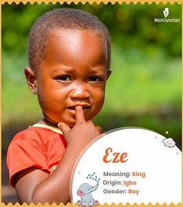 Eze Name Meaning, Origin, History, And Popularity