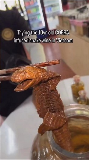 10-Year-Old Cobra Infused Snake Wine in Vietnam | A Must-Try Exotic Experience! 🐍🍷 #vietnam