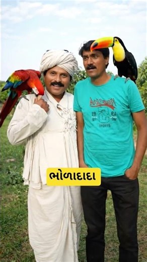 bholadada comedy video #bholadada #bholadadacomedy