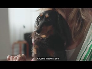 Quick design tips with the Canva team ✏️