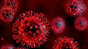 South African COVID-19 variant found in South Carolina, first cases in U.S.