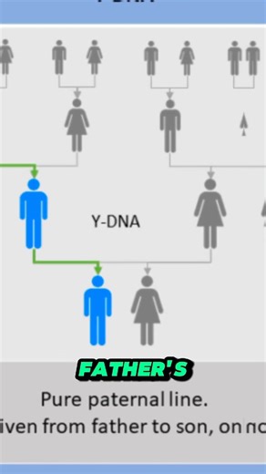 Let's travel down the history road... Do you know who are the most ancient people on earth? Well, here is an explainer courtesy of @dna.uncovered. #africa #trending #africaglobalnews #viralpages #factsyoudidntknow #trends #trendingnow #viralreels #factsdaily #photography #factsoflife #fromafricawithlove #FromAfricaToTheWorld #beforeandafters #bantu | Africa Global News