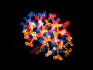 Our Incredible, Microscopic World