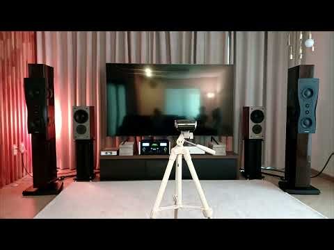 Dynaudio C2 Platnum #18