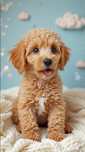 When Monday Hits… But Puppies Save Your Day! 😍 #DogLovers