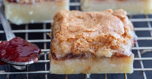 Coconut Jam Squares