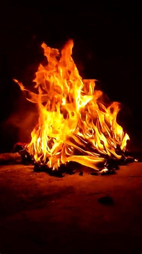 shot on Xiaomi Redmi Note 10 Pro #redminote10pro#redminote10prophotography #shorts #trending #viral