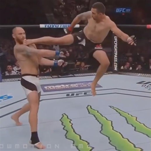 Best flying kick in the UFC and it was done by a heavyweight