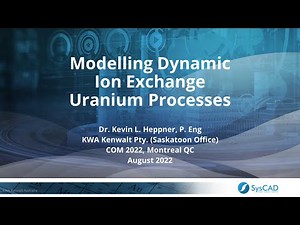 Modelling Dynamic Ion Exchange Uranium Processes