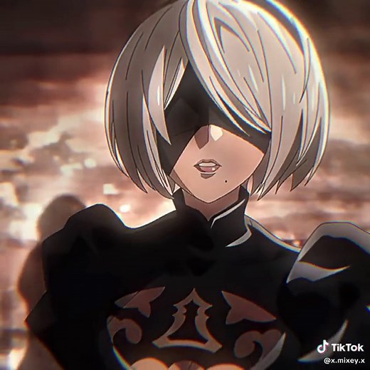 Character Similarities Between Rainbow 6 Siege and Nier Automata Explained