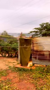 Watoto wa 2000 | Vaileth Msusa