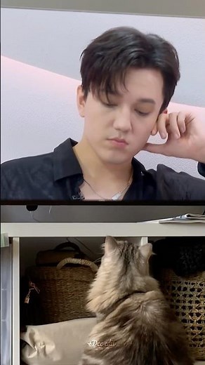 Watching Dimash with hubby - (Dimash meme)