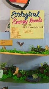 Wonderful model Exhibition of Zoology Department 😱#model #shorts #exhibition #zoology #youtubeshorts