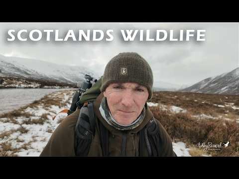 Freezing Conditions, Stunning Wildlife | Scotland Behind the Camera