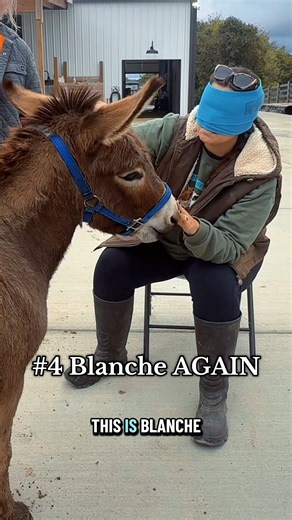 562K views · 27K reactions | Guessing my Minis WHILE BLINDFOLDED𢡊 | Katie Van Slyke | Facebook