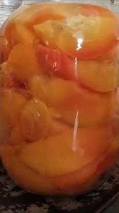 Canned Peaches Overview