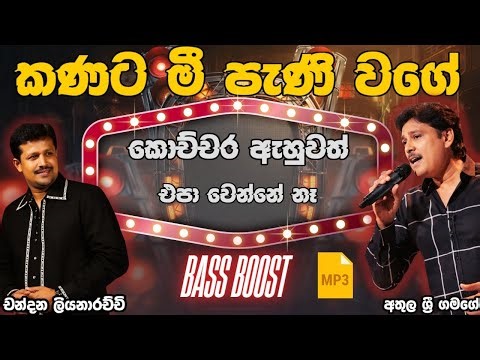 Chanadana Liyanarachchi | Athula Sri Gamage | Best New Sinhala Song Collection | Songs Old