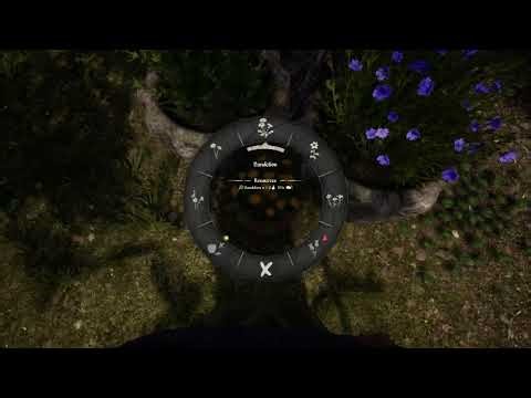 Medieval Dynasty - Decorating flowerpots in the market square