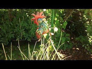 Motorola Moto E camera video test