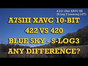 A7SIII: Is there a meaningful difference 4:2:0 vs 4:2:2 using S-log3 10-bit?