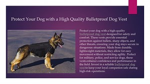Protect Your Dog with a High Quality Bulletproof Dog Vest