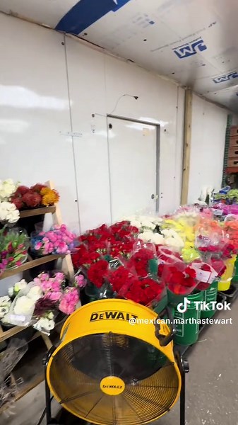 Explore Chicago's Premier Wholesale Flower Shop