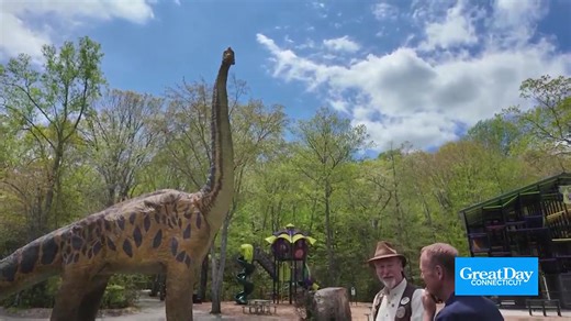 2.7K views · 23 reactions | The Dinosaur Place is roaring back to life as it celebrates its 25th season! 練 We got a look around at all the fun new things they've added to the 60-acre campus: | Great Day Connecticut | Facebook