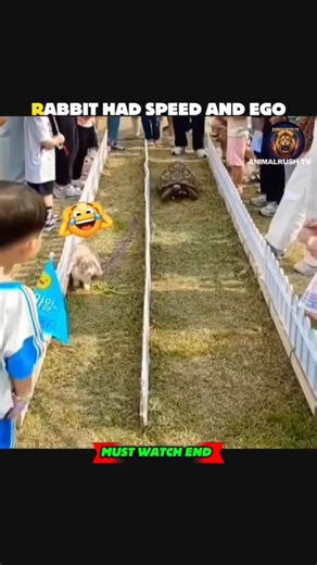 SPEED FAILED. CONSISTENCY WON. 🏆#rabbitvsturtle #lifelesson #motivation #trendingshorts #viralshort