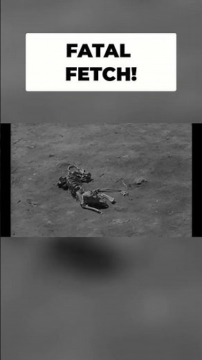 Aliens Don’t Like Dogs?! | Classic Sci-Fi WTF Moment | Teenagers from Outer Space 🎥 #movieshorts