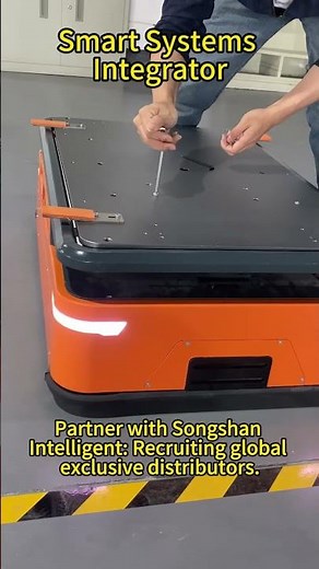 Smart Systems Integrator