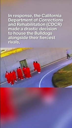 Rival Gangs: The Norteños and Sureños #californiacrime #california #gangculture