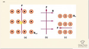 OpenStax College Physics, Chapter 22, Problem 4 (Problems & Exercises)