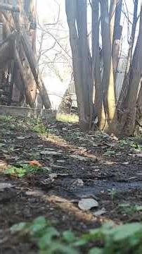 Mom And Grandma Gets Mad At Mya