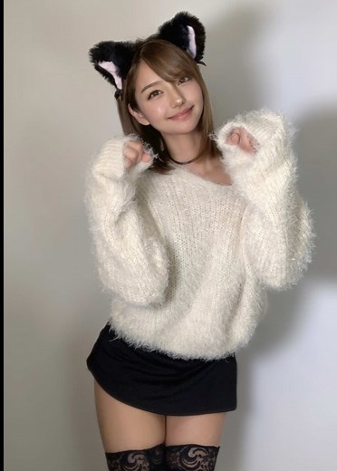 猫の日におすすめの面白い猫動画