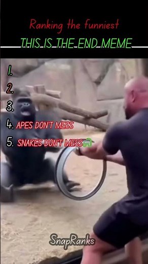 Ranking the funniest 🤣 this is the end meme