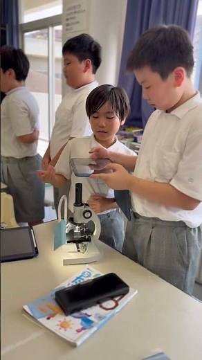 【KEIAI TV】(５年生)理科実験 顕微鏡で花粉を見てみよう！ #shorts #敬愛小学校