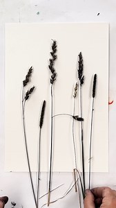 487K views · 7.3K reactions | The August Newsletter is now out and...